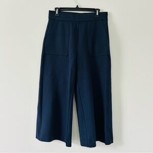 J. Crew Navy Wide Leg Pants